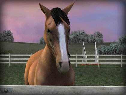 My Horse 1.38.14. Скриншот 1