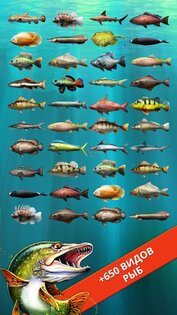 Let's Fish: Sport Fishing Games 6.6.8. Скриншот 3
