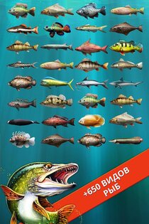Let's Fish: Sport Fishing Games 6.6.8. Скриншот 8