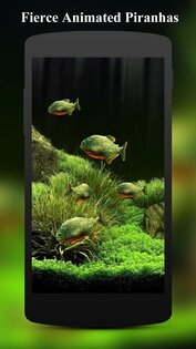 3D Fish Aquarium Wallpaper HD 1.8.5. Скриншот 3
