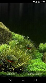 3D Fish Aquarium Wallpaper HD 1.8.5. Скриншот 4