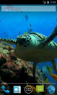 Sea Turtle Live Wallpaper 15.0. Скриншот 1