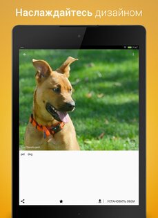 Wallpapers QHD Background HD1.3.21. Скриншот 20