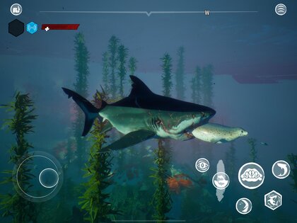 Maneater 1.4.4. Скриншот 20