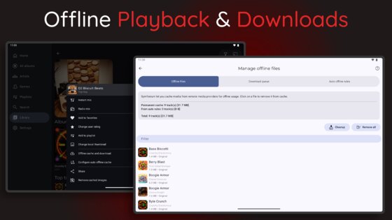 Symfonium 14.0.0. Скриншот 22