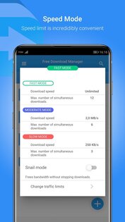 Free Download Manager 6.33.0.6626. Скриншот 5