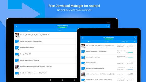 Free Download Manager 6.33.0.6626. Скриншот 11