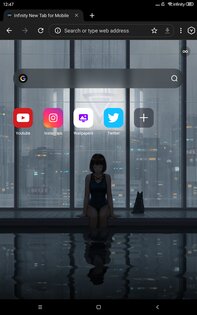 Lemur Browser 2.7.3.019. Скриншот 8