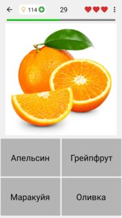 Фрукты и овощи: Фото-викторина 3.7.0. Скриншот 9