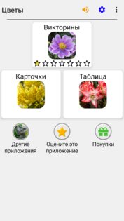 Цветы – Викторина по ботанике 3.3.0. Скриншот 13