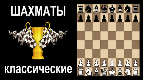 Шахматы без интернета на двоих 2.16. Скриншот 6