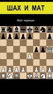 Шахматы без интернета на двоих 2.16. Скриншот 18