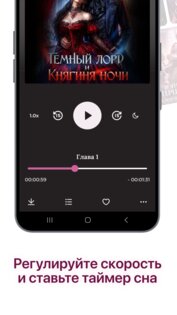 Литнет Аудиокниги 1.6.6. Скриншот 6