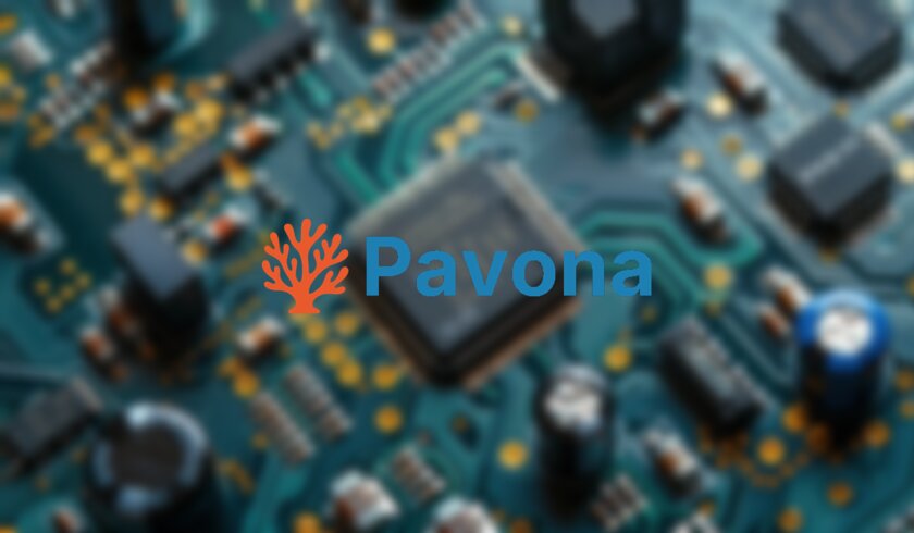 Проект Pavona создаёт открытый набор компонентов для RISC-V чипов широкой специализации