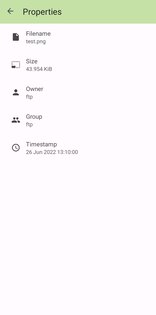 FTPClient 3.1.1. Скриншот 4