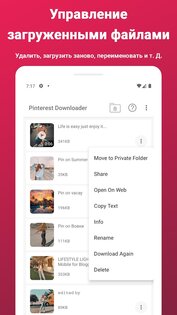Загрузчик видео для Pinterest 2.556. Скриншот 4