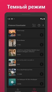Загрузчик видео для Pinterest 2.556. Скриншот 7