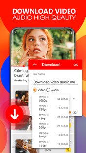 Tube Video Downloader 5.3. Скриншот 4