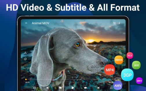 HD Video Player All Formats 2.5.3. Скриншот 12