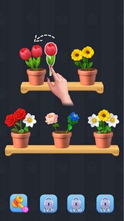 Blossom Sort 1.0. Скриншот 2