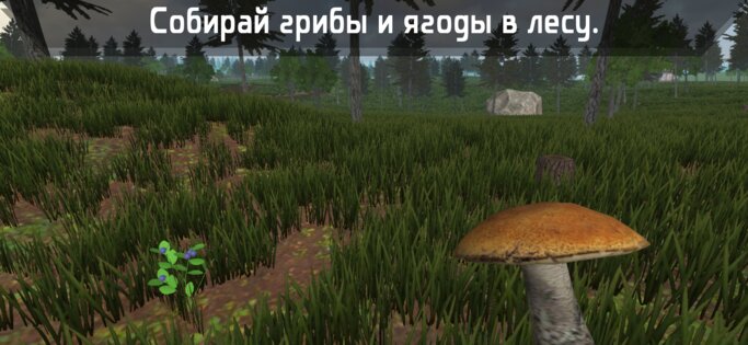 Симулятор жизни в деревне 3D 1.17.1. Скриншот 3