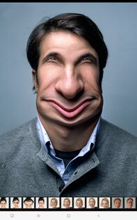 FaceWarpCamera 3.3.42. Скриншот 9