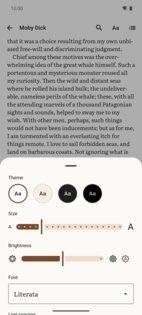 Liseur 0.10.0. Скриншот 4