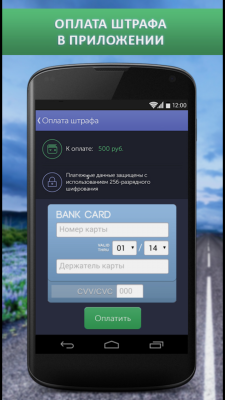 Штрафы ГИБДД проверка и оплата 6.8.4-free-google. Скриншот 5