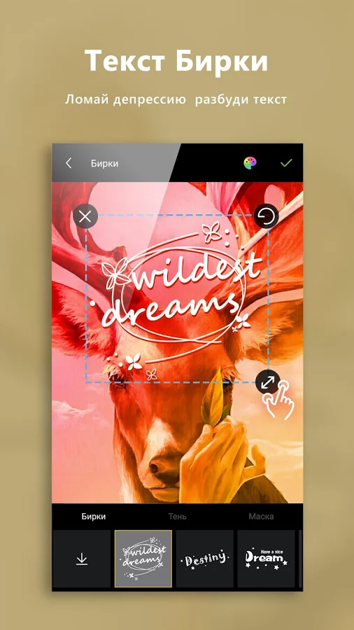 ToolWiz Photos 11.33. Скриншот 1
