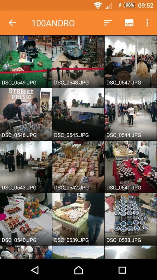 Simple Gallery 6.1.5.1. Скриншот 3