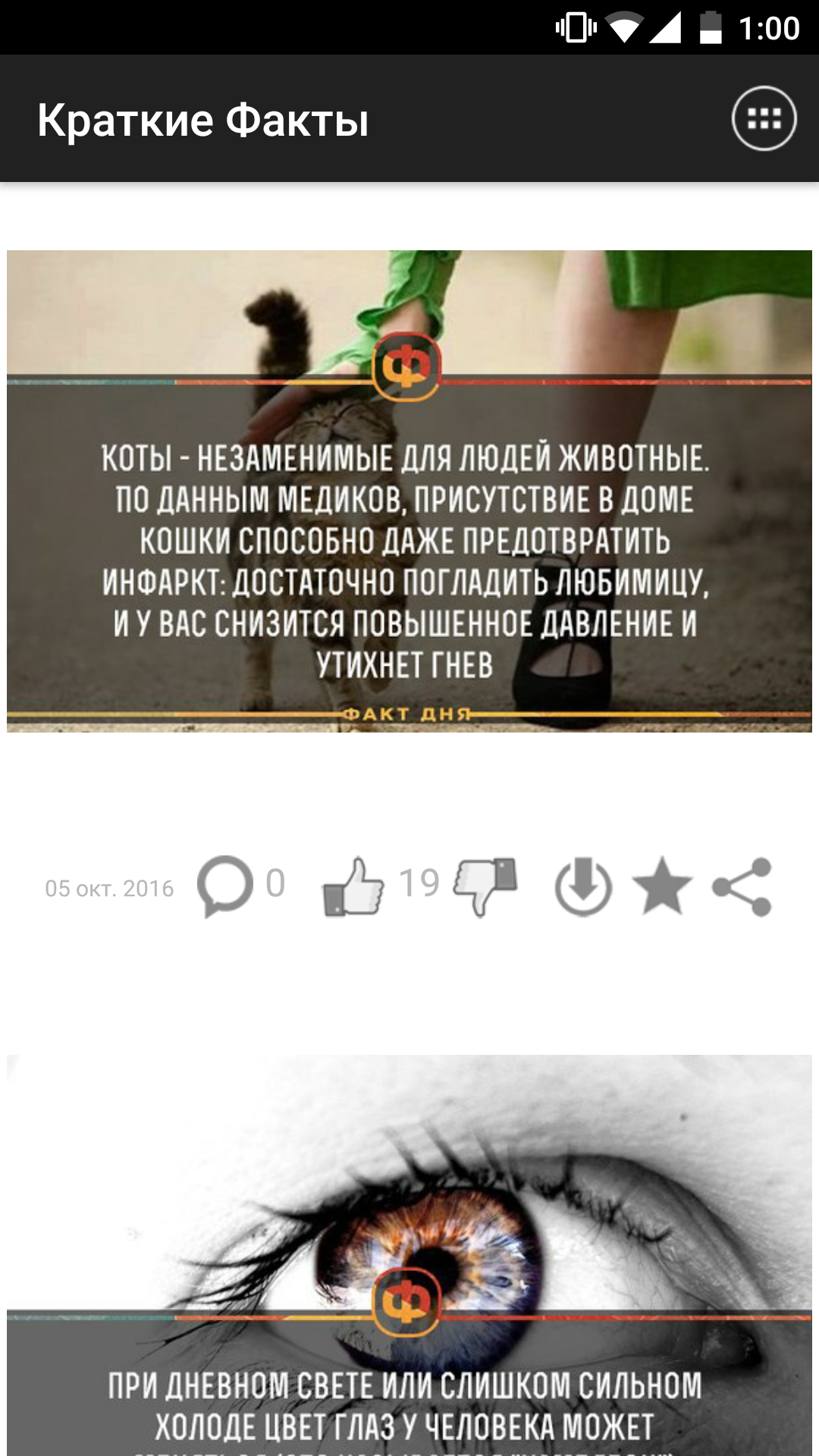 Краткие Факты 1.39. Скриншот 2