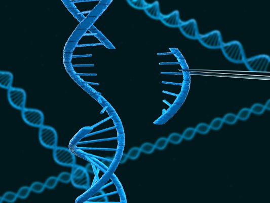 Что такое CRISPR — технология, которая изменит мир