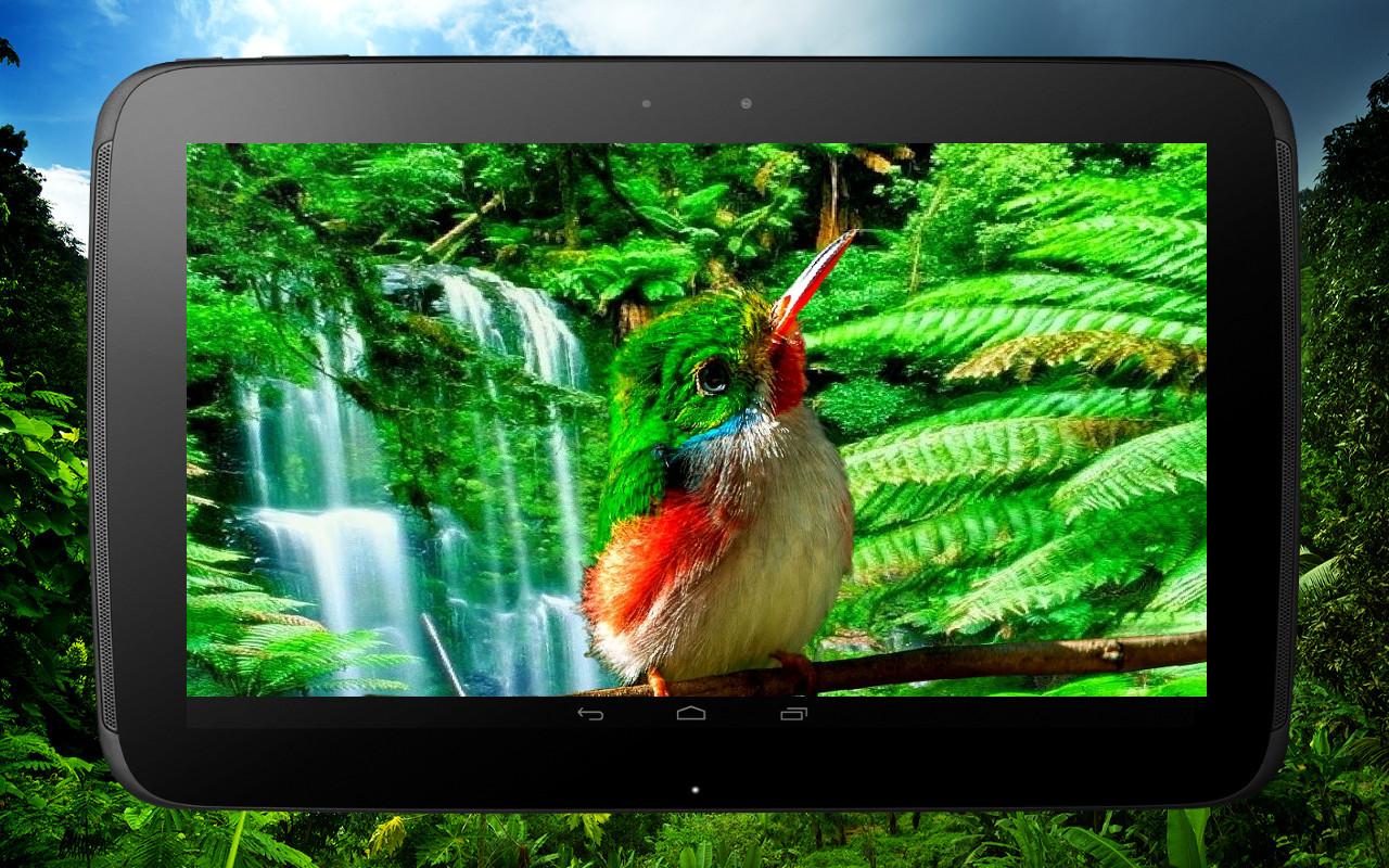 3D птицы параллакс живые обои 2.1.0. Скриншот 10