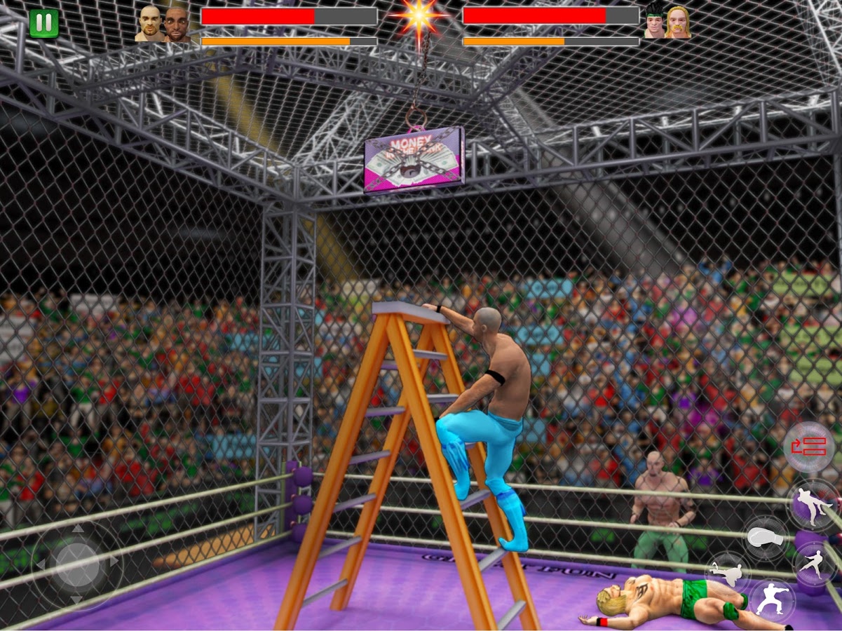 Cage Wrestling 1.0.8. Скриншот 9