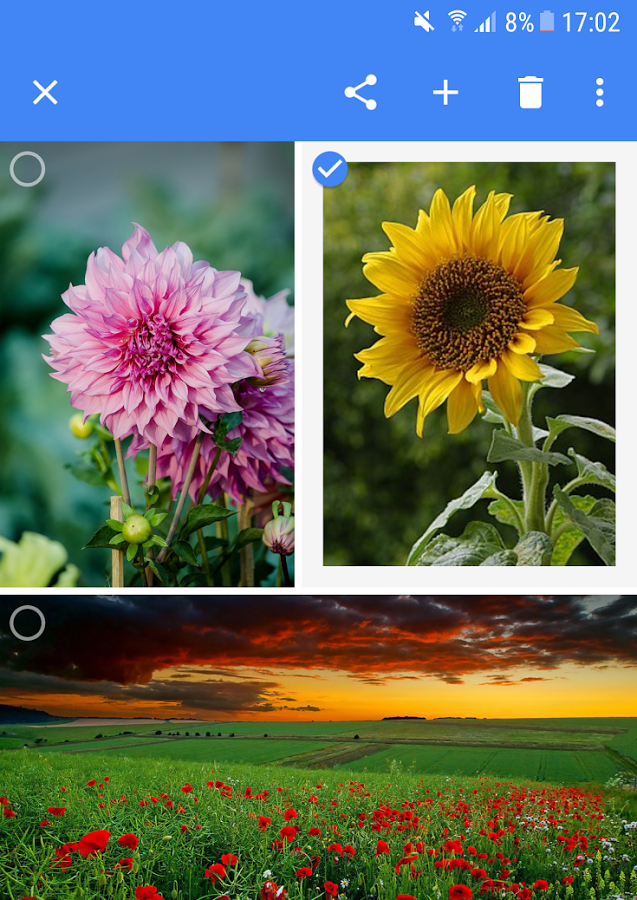 Secure Photo Viewer 1.4. Скриншот 1