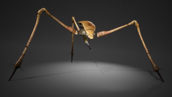 Первые детали Project Borealis — фанатской версии Half-Life 3