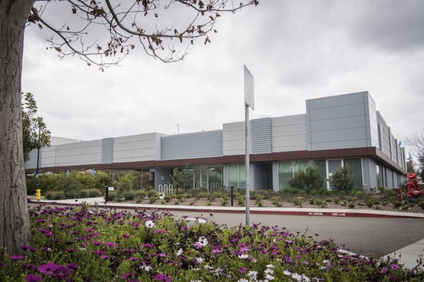 Apple разрабатывает собственные дисплеи для мобильных устройств