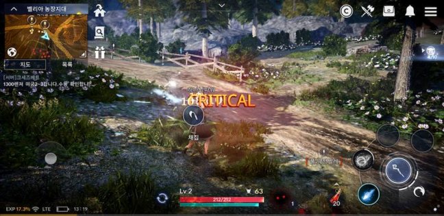 Black Desert Mobile готовят к релизу