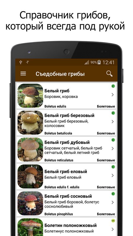 Грибы – справочник 1.5.5. Скриншот 1