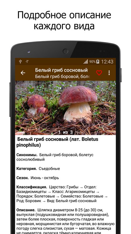 Грибы – справочник 1.5.5. Скриншот 2