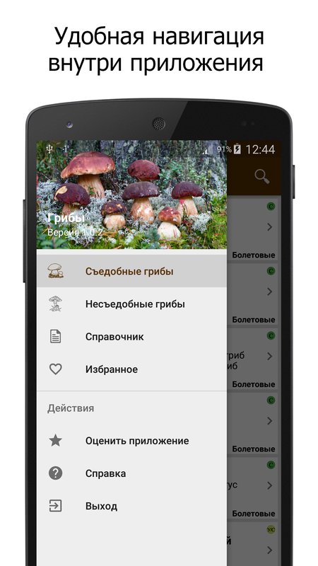 Грибы – справочник 1.5.5. Скриншот 3