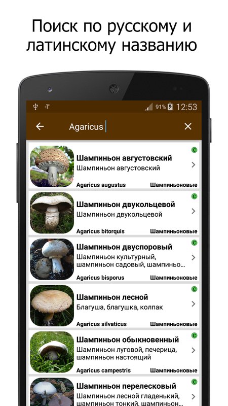 Грибы – справочник 1.5.5. Скриншот 4