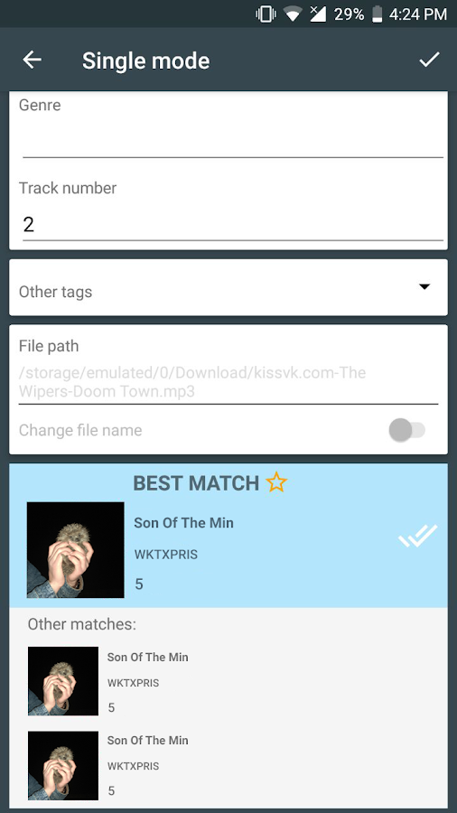 Advanced Music Tagger 0.9.1. Скриншот 2