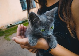 Почему не стоит гнаться за флагманскими смартфонами в 2018 году